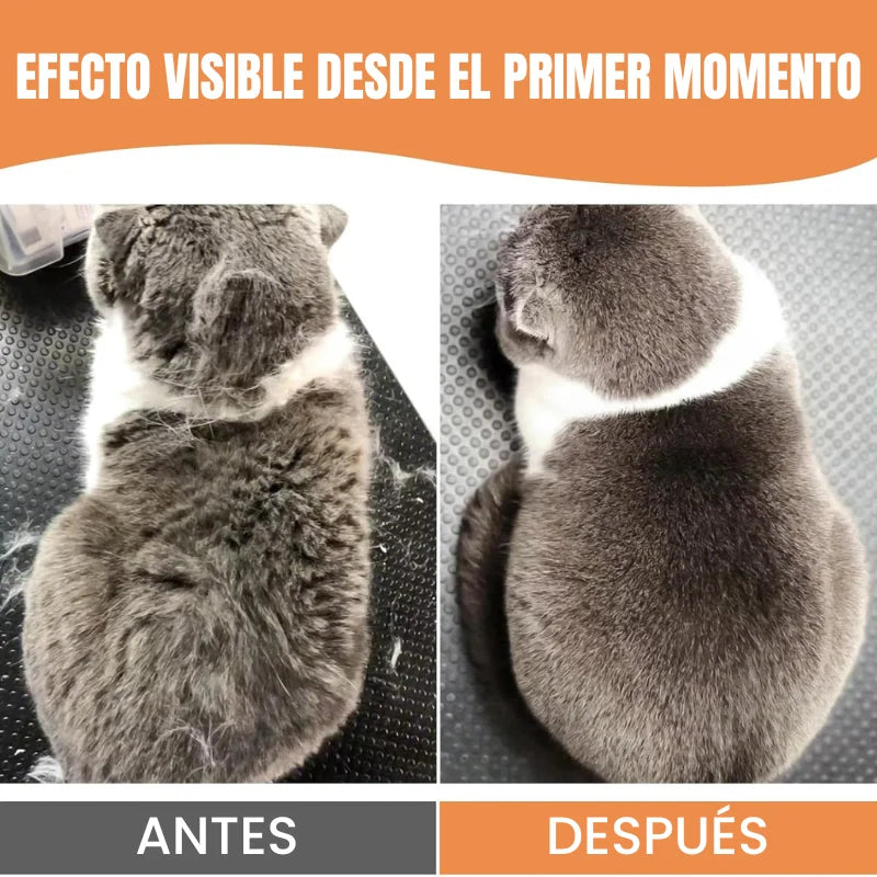 Cepillo con Vapor 3 en 1 para Gatos